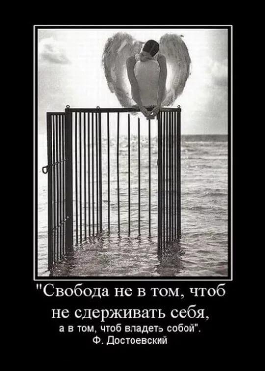 СВОБОДЫ парадокс