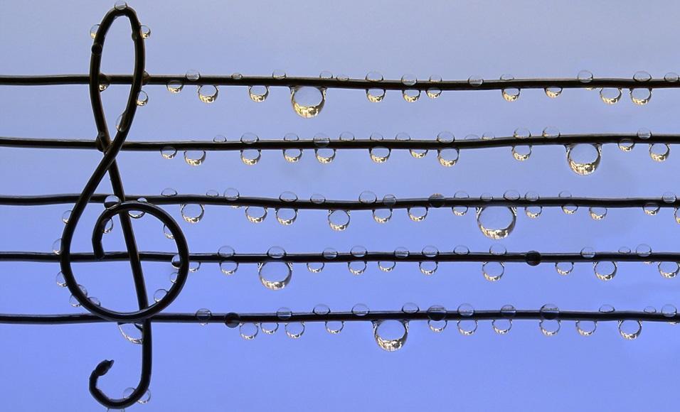 Музыка дождя