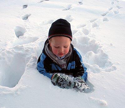 Ночью в снегу под елкой