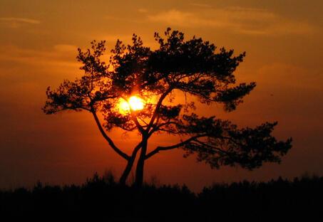 Усталый день