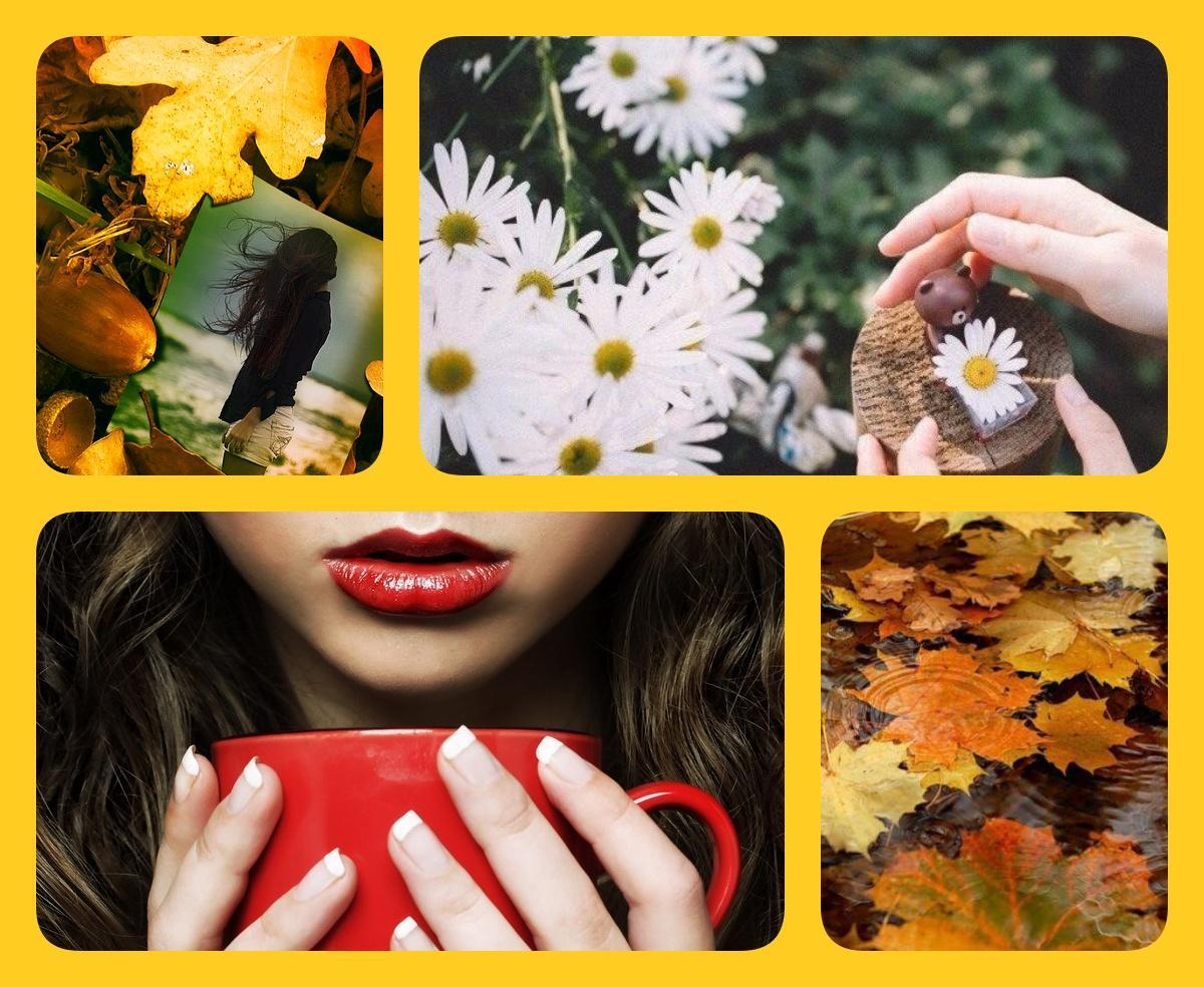 Август (на украинском языке)