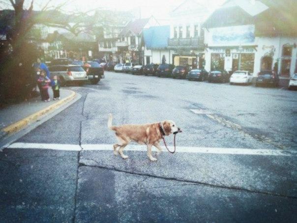 твой бракованный экземпляр