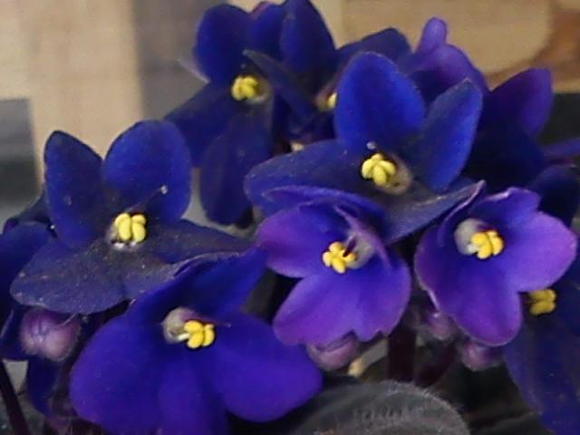 Псалом 3 - перевод с иврита