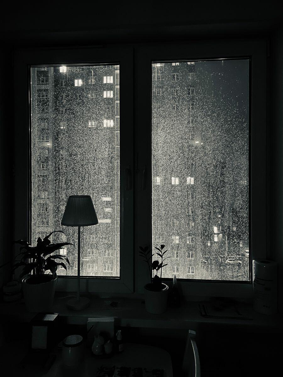 Мов паркан, осіння злива