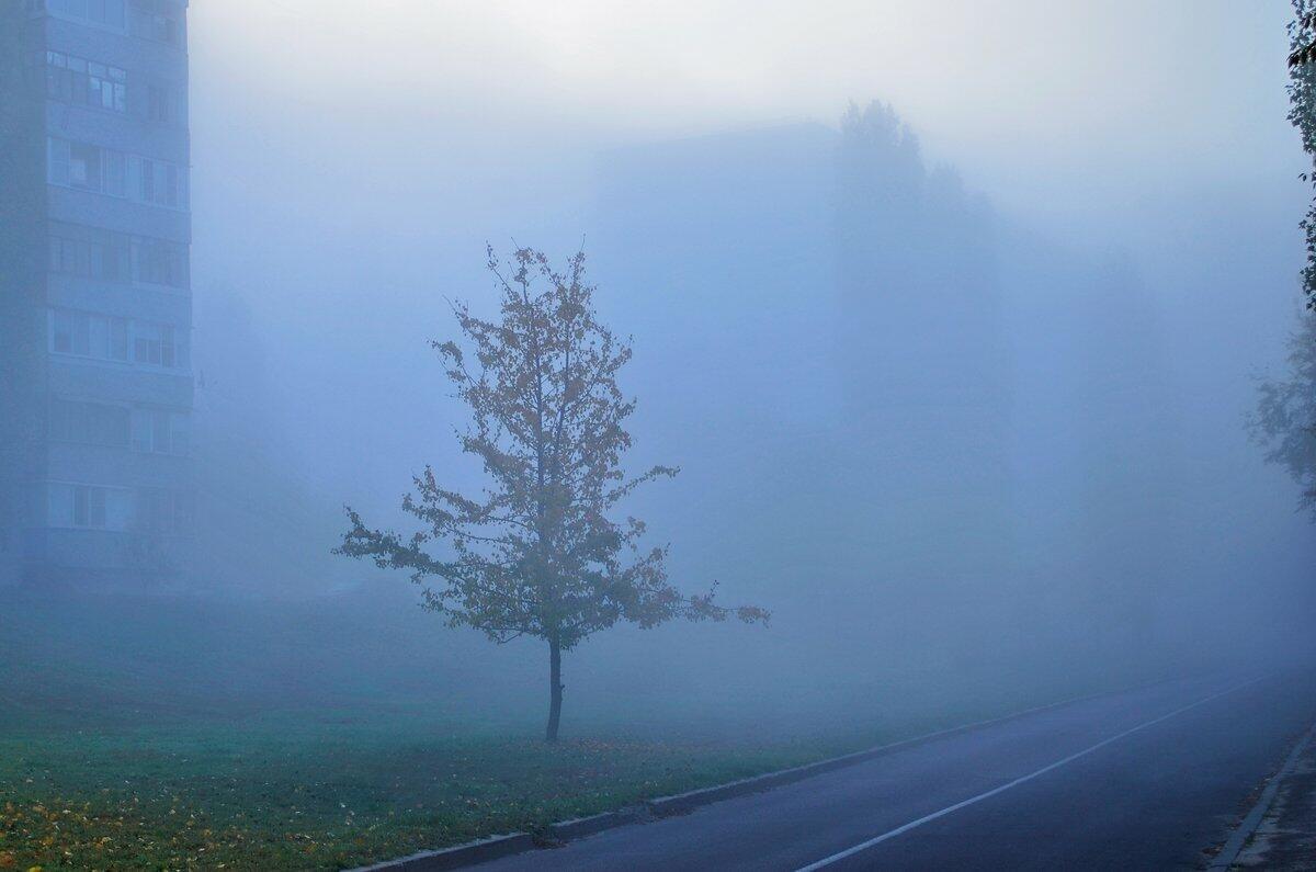 В СЕРЕБРЯНОМ ПЛЕНУ