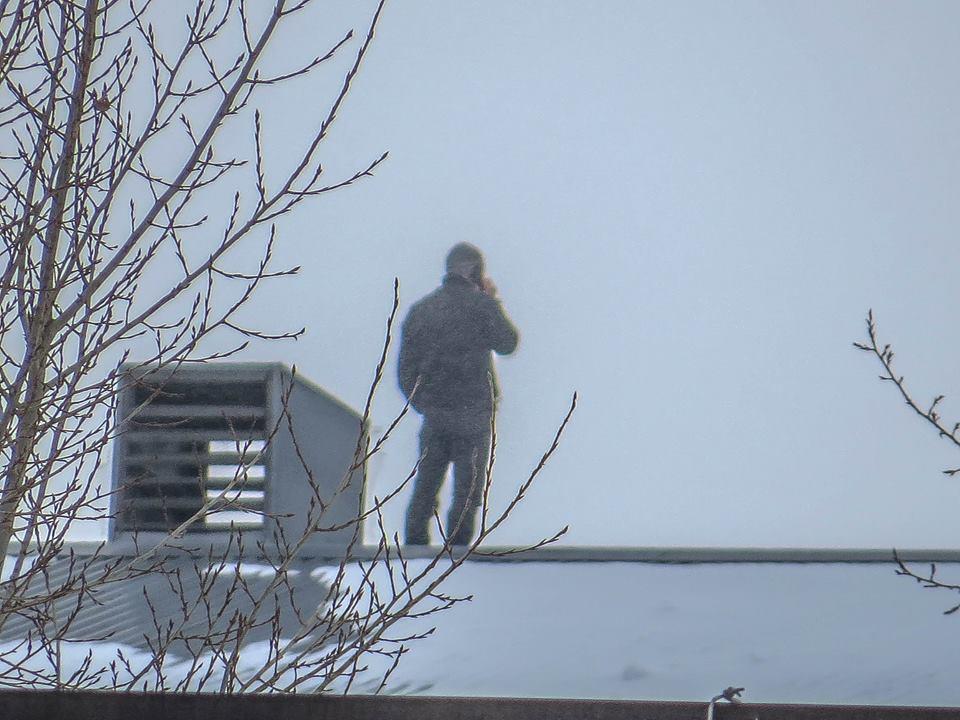 Нежность двакасемнадцать