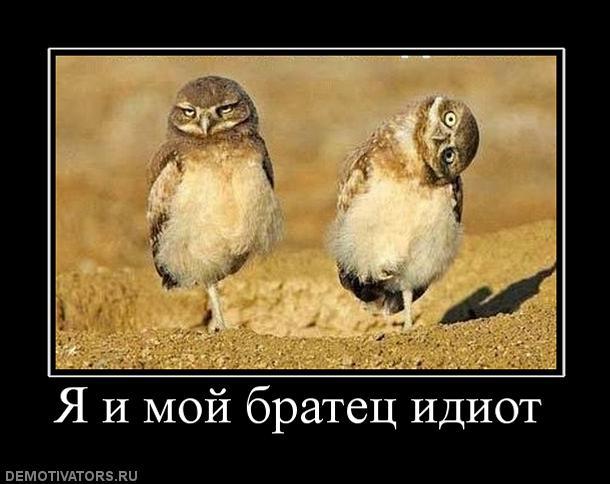 Эссе о беспредельности знаний Дурака