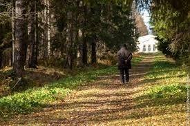 ОСЕННЯЯ ПРОГУЛКА