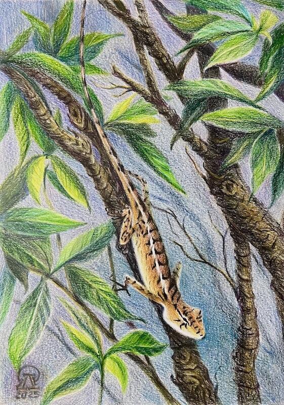 Мысли и домыслы... (710)