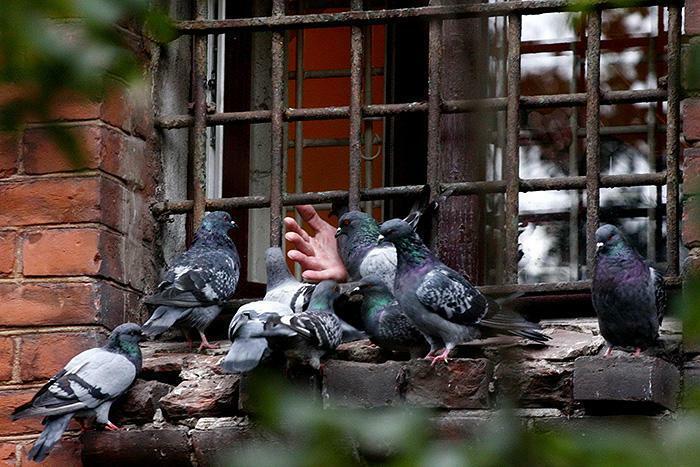 СУДЬБА   -   НЕДОТЁПА    ( шансон)