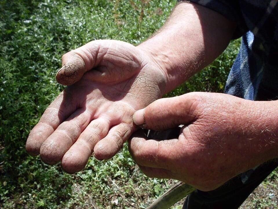 Отцовская ладонь