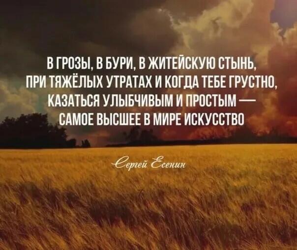 Поэту