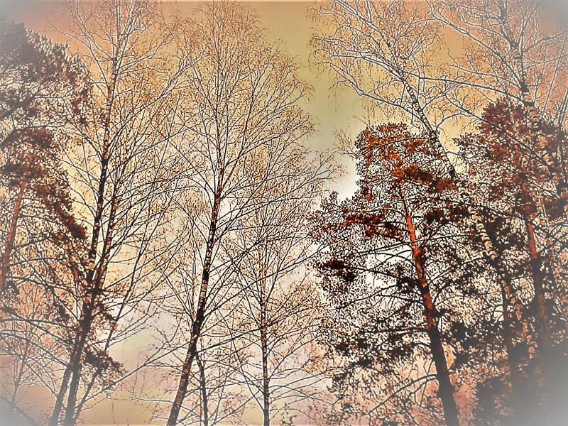 Значит, скоро весна...