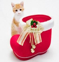 Подарок в носке