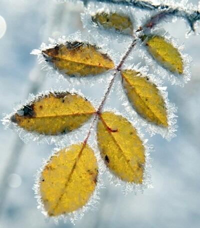 Как будто осень только началась...