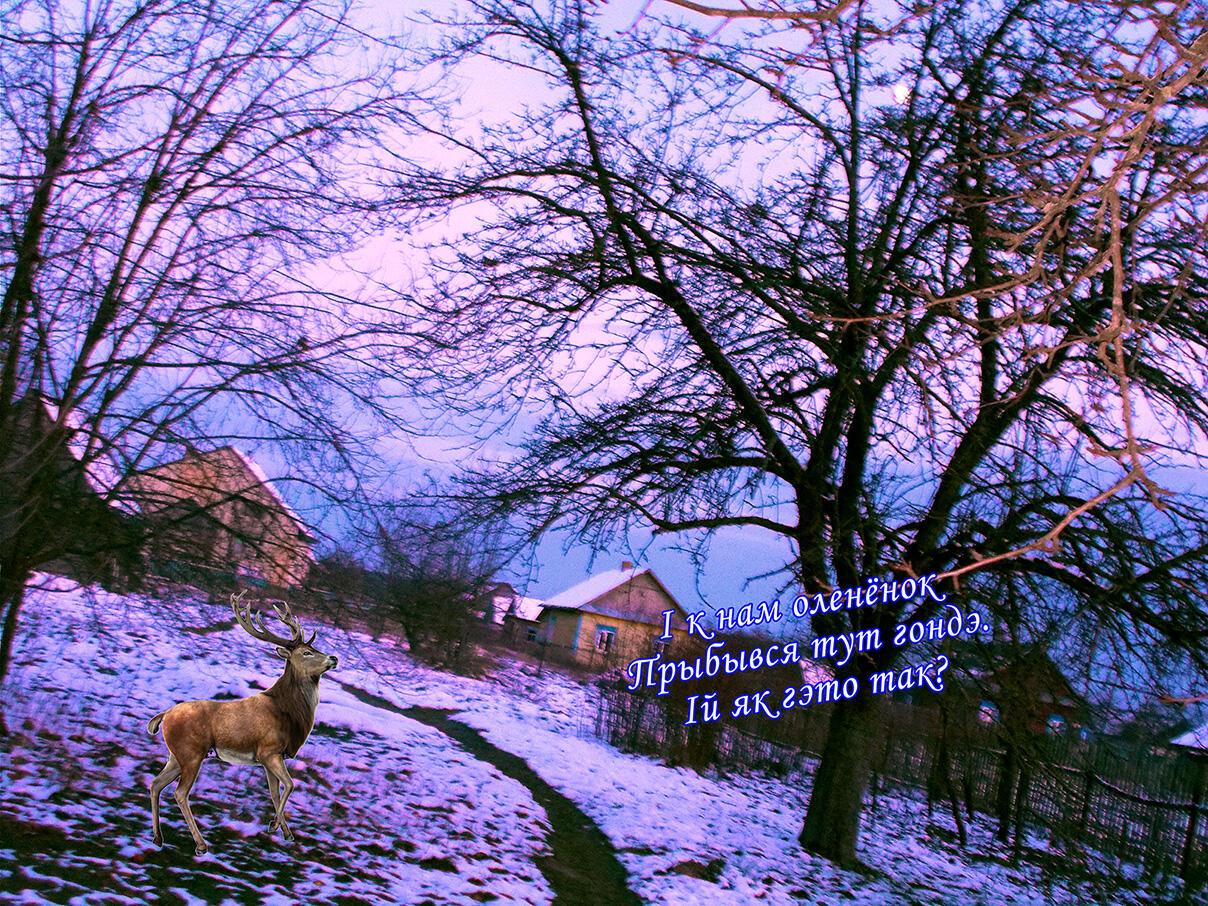 Пака капитан журыца,