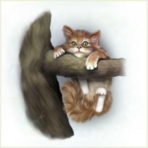 Кот -затейник!