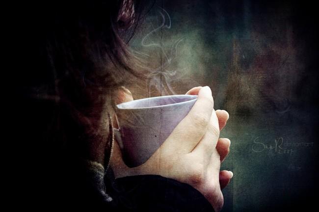 «Моя правда» 2014г.