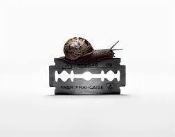 ТАЩИТ (ХОККУ)