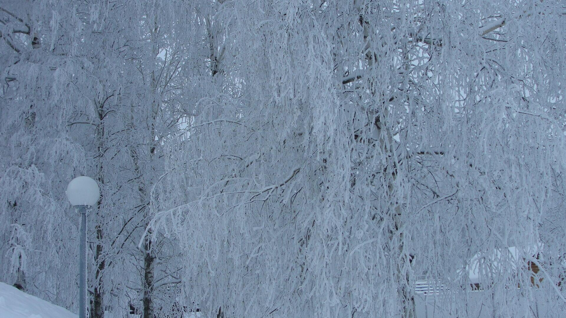 Туманы февраля