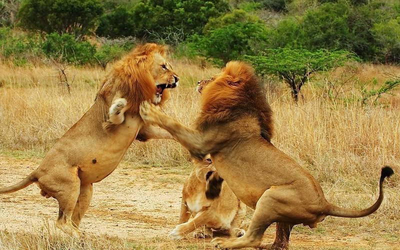 один, но главный парадокс...