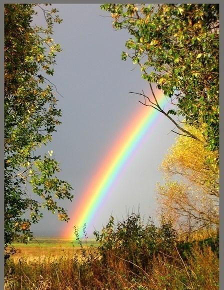 Время чудес