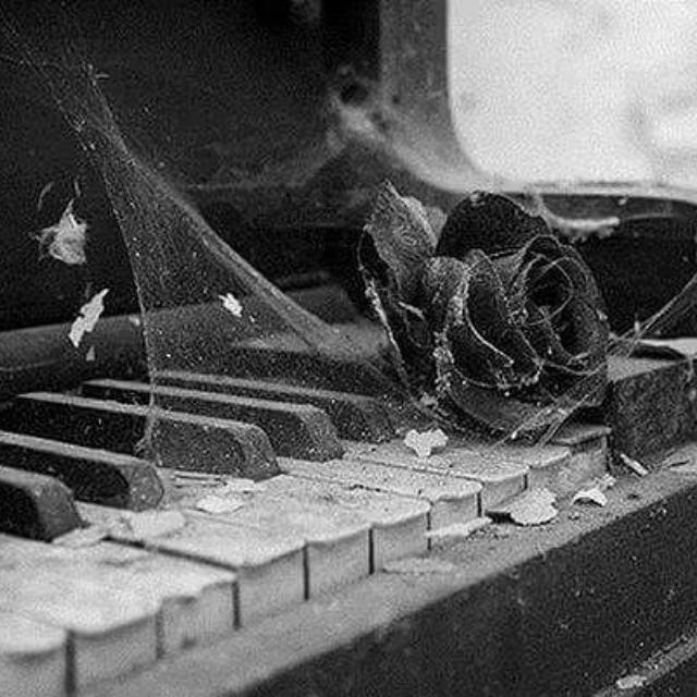 Не в одиночестве ли сила?