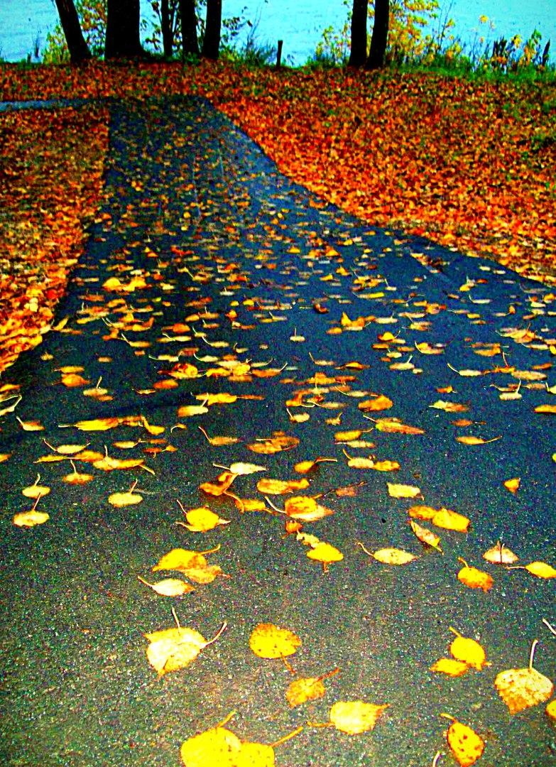 Всё золото к ногам...