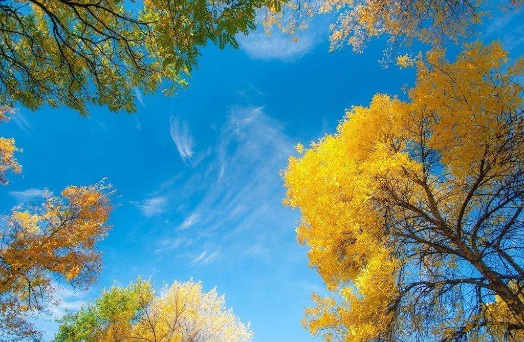 В октябре...