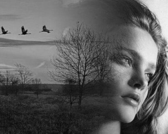 Прости-прощай...