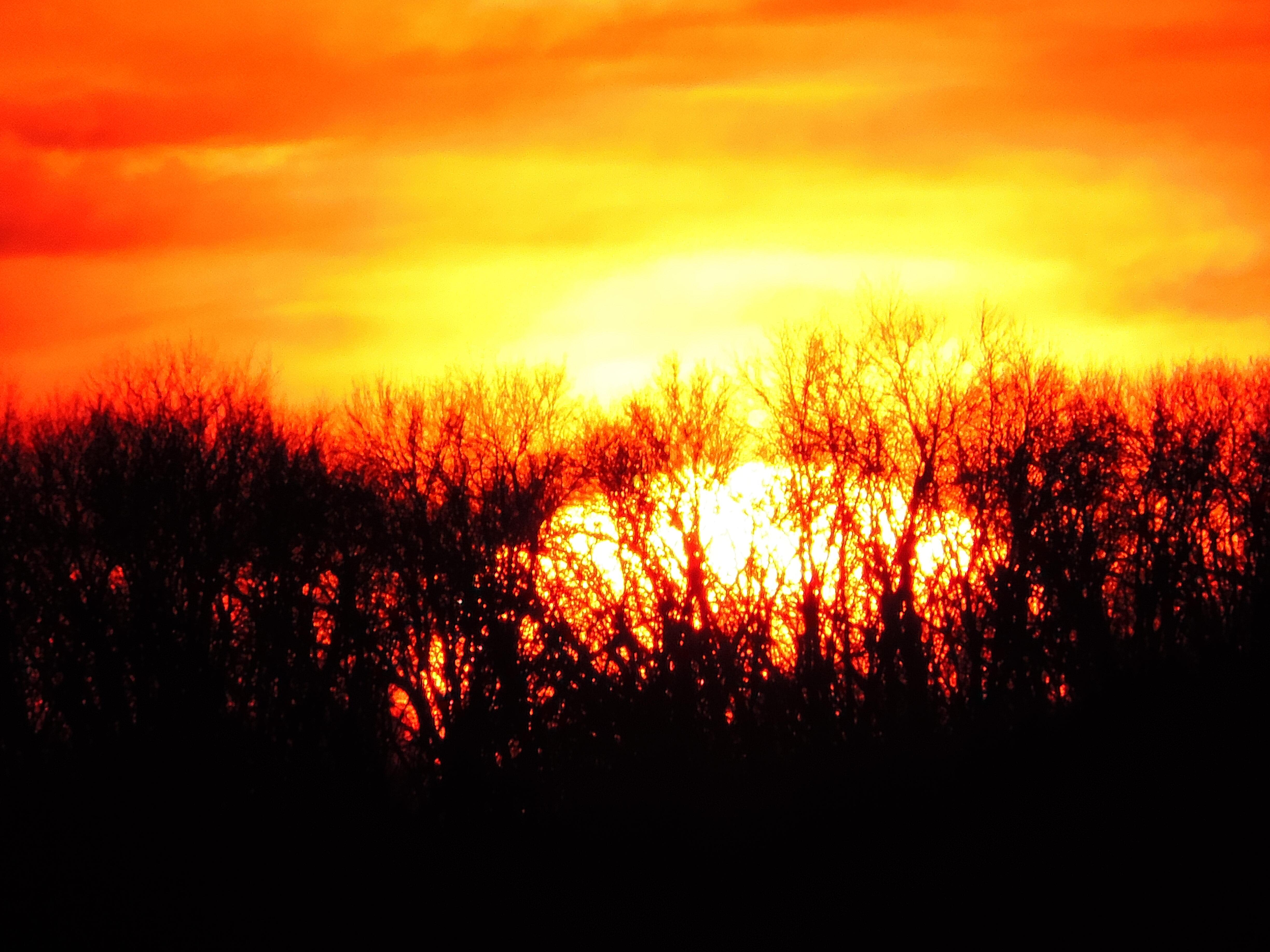 Марина Волкова Стих на вечер