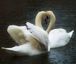 Как жил без тебя