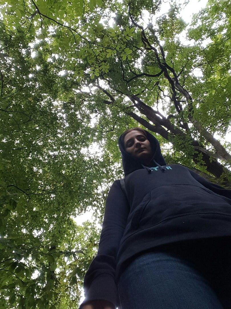 Река решений