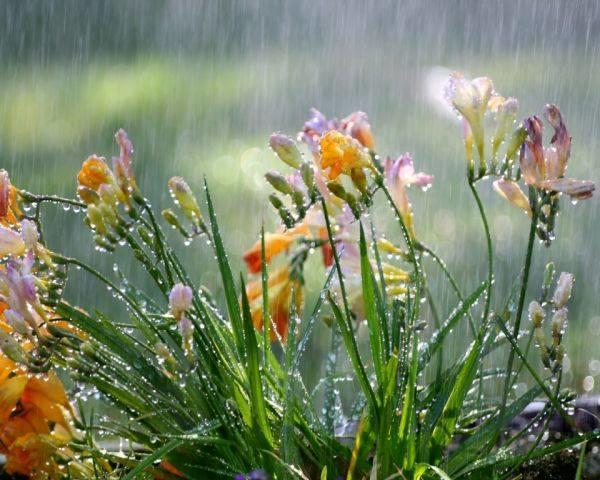 Не обличай кощунника, постой