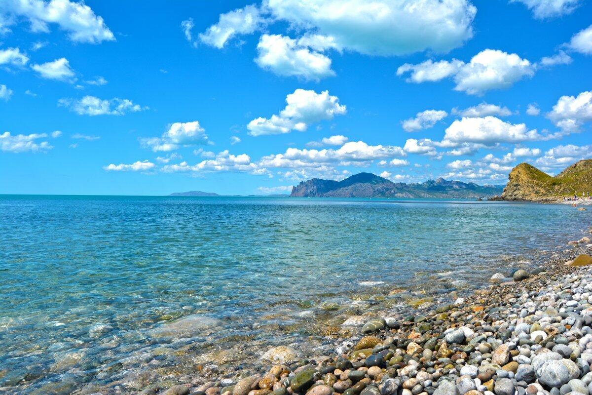 Эрудиты, ау!