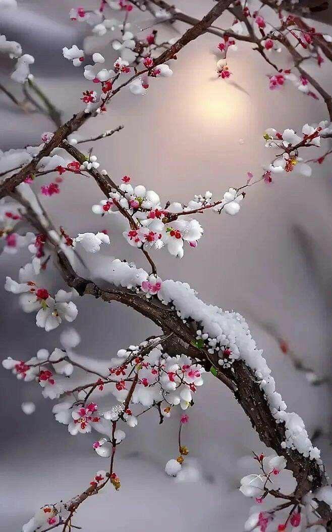 Февраль досрочно сдал свои права