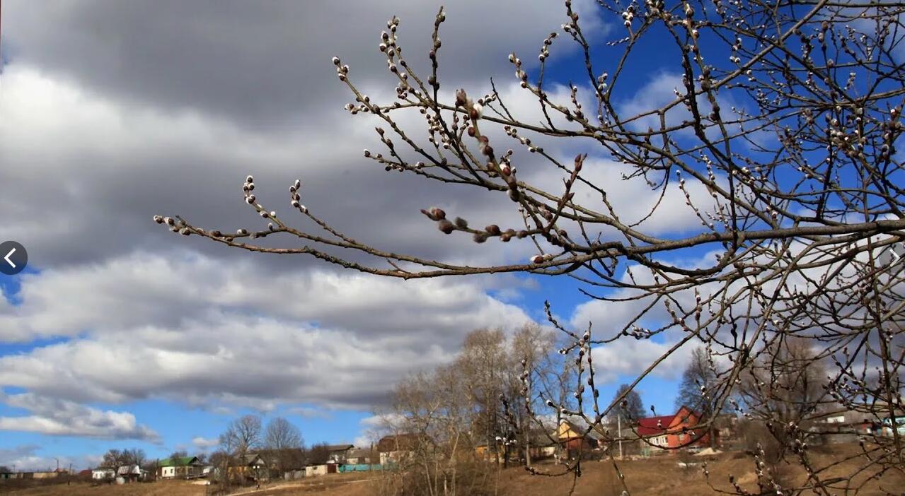 Весна прошедших дней