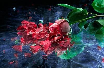 Мир без любви