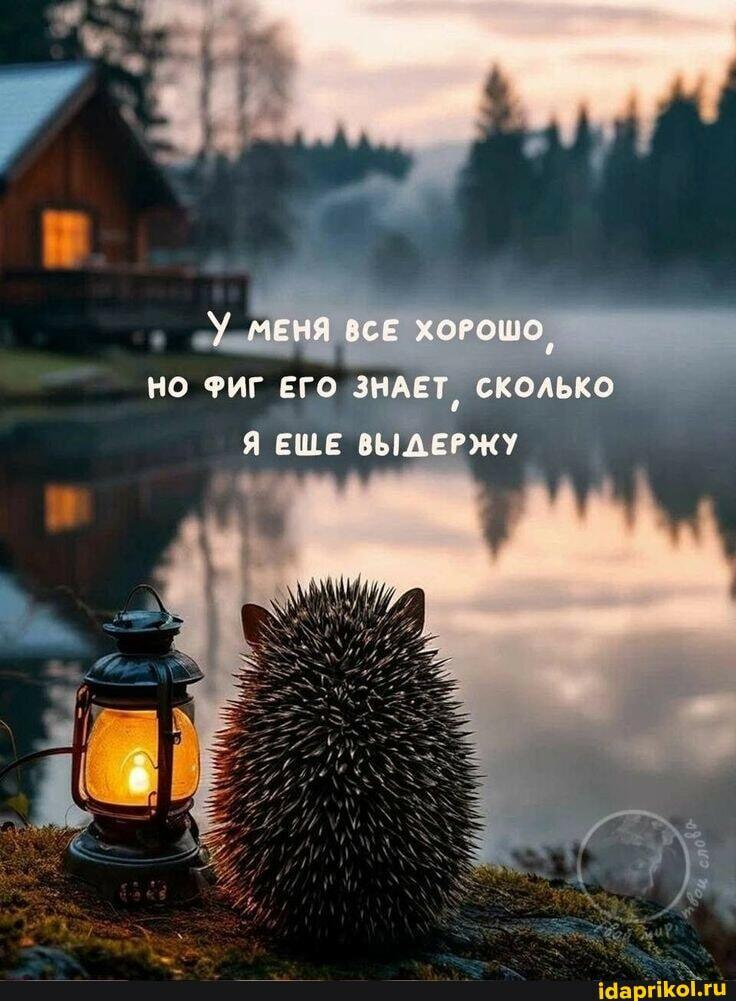 Что в тумане?