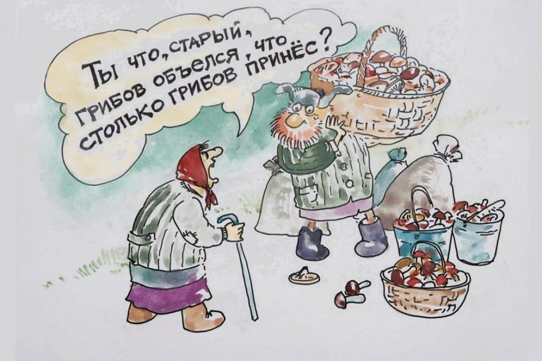 ГРИБНИКАМ ПРИВЕТ!