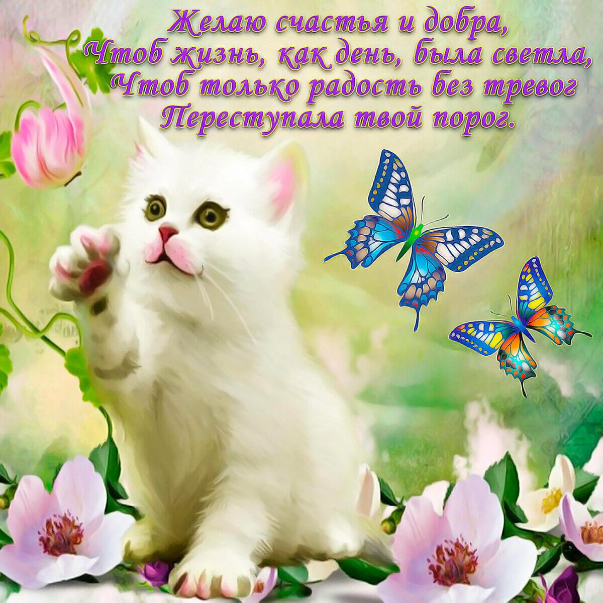 Счастливый день