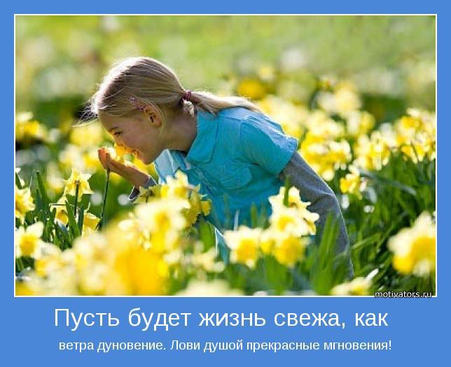 Лови прекрасные мгновения