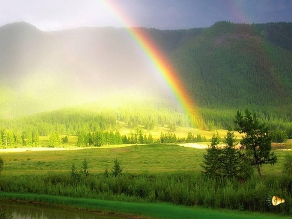 ЛЮБОВЬ ПОДНЕБЕСНАЯ…