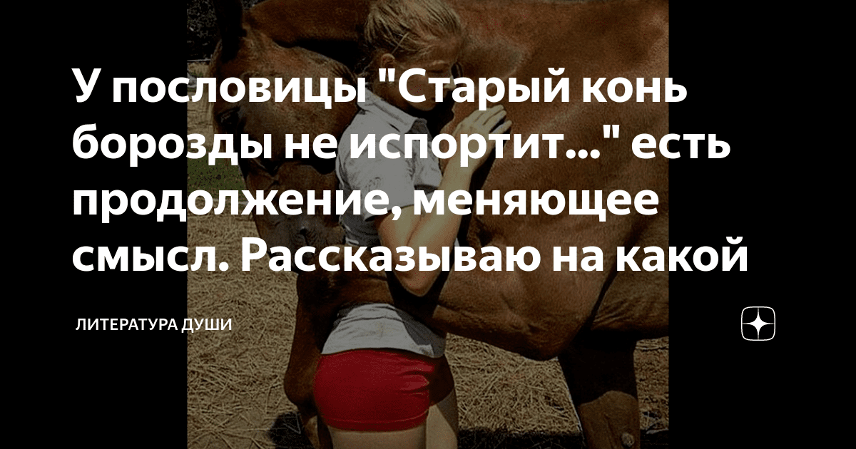 Старый конь