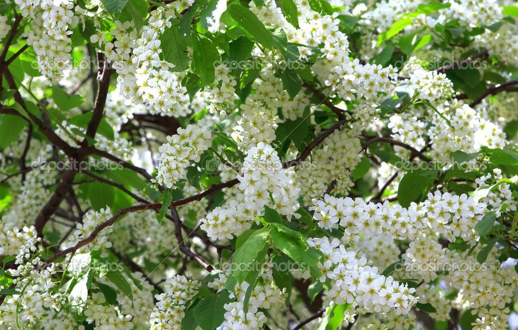 Как давно то было