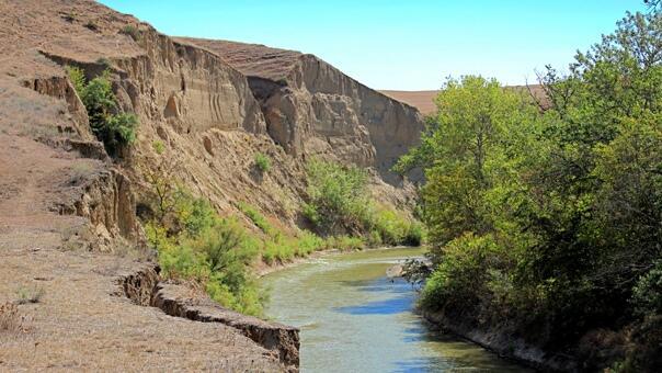 "Дорогая станица моя"