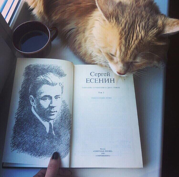 Мы теперь уходим понемногу… ( С. Есенин ) 