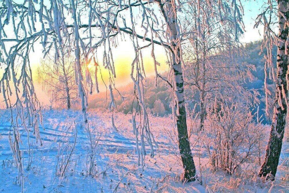 Утро природа февраль. Февральский пейзаж. Морозное утро. Зимний рассвет живопись. Ранняя зима.
