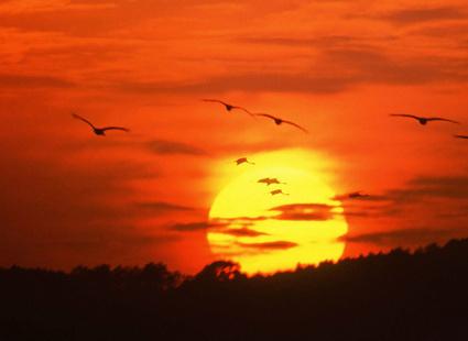 СИЛО НЕБЕСНА...