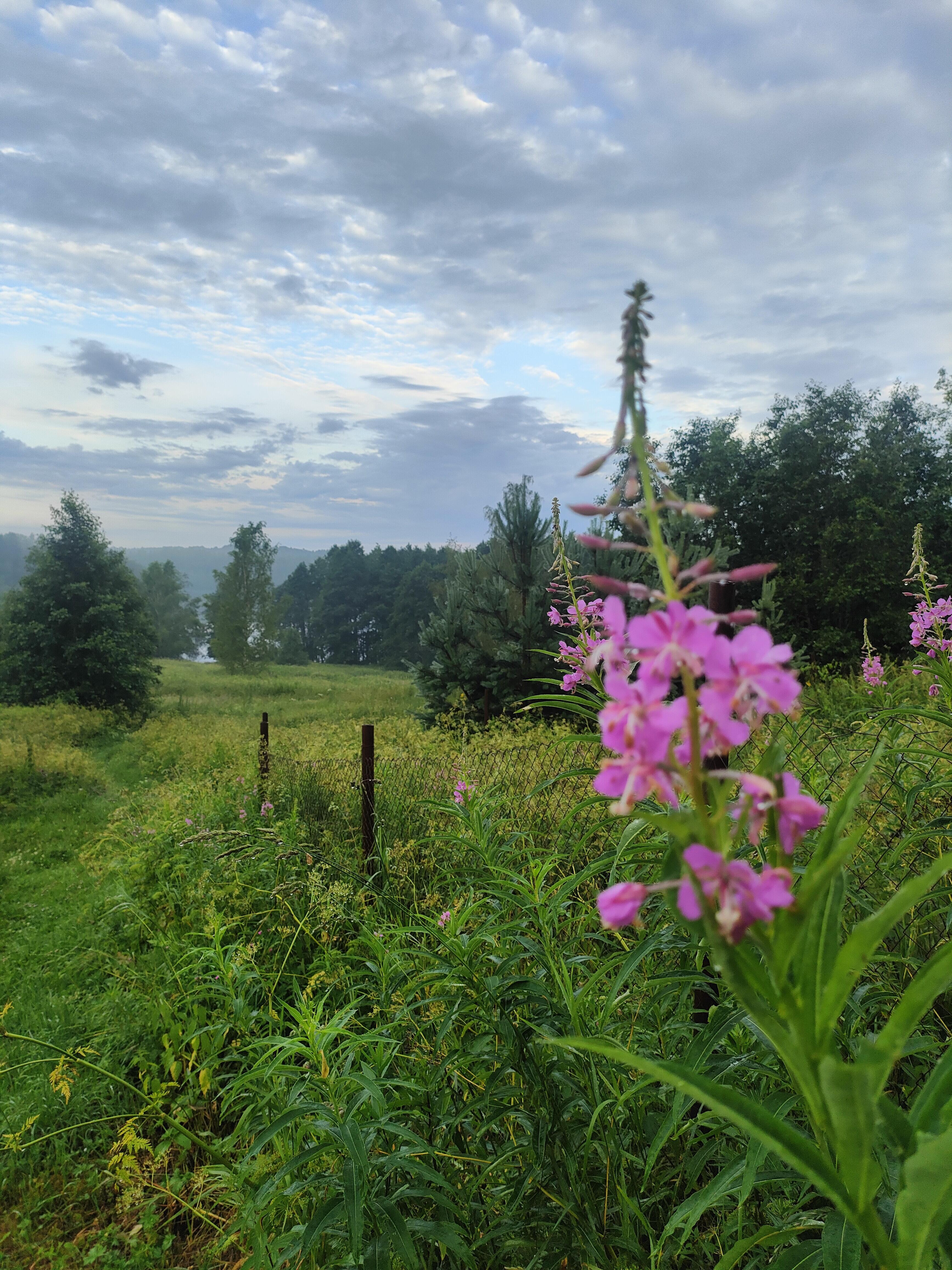Осенним утром, тёплою росою